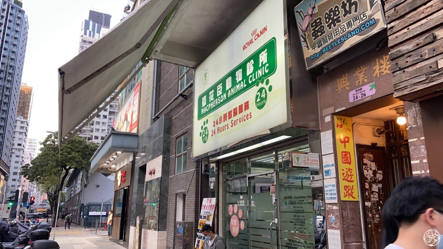 麥花臣動物診所Macpherson Animal Clinic – DearPet